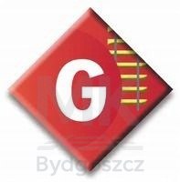 Stacja Rosenbach dworzec skala G PIKO 62040 Stacja Rosenbach dworzec skala G PIKO 62040
