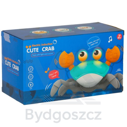 Krab pełzający interaktywny z dźwiękiem zielony Krab pełzający interaktywny z dźwiękiem zielony