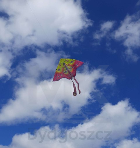 Latawiec duży 90cm motyl fioletowy Latawiec duży 90cm motyl fioletowy