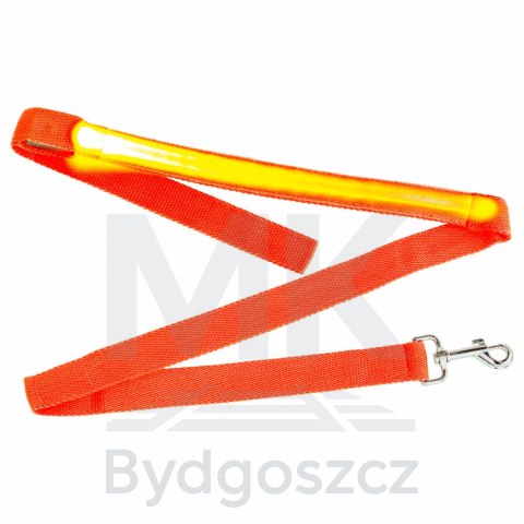 Smycz dla psa kota świecąca spacer jesień zima noc LED 1,2 m pomarańczowa Smycz dla psa kota świecąca spacer jesień zima noc LED 1,2 m pomarańczowa