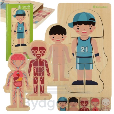 Puzzle drewniane warstwowe budowa ciała montessori chłopiec Puzzle drewniane warstwowe budowa ciała montessori chłopiec