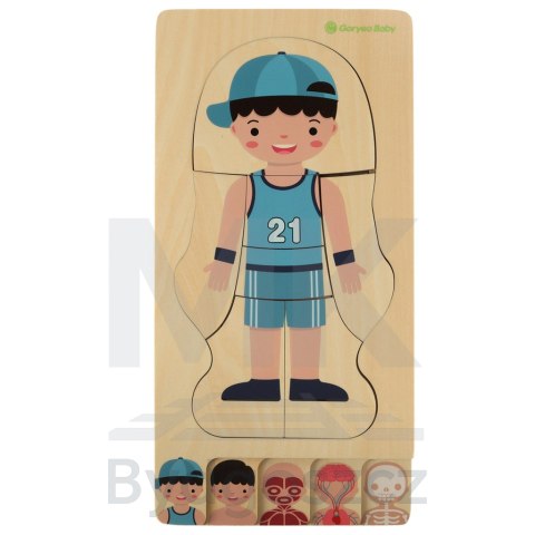 Puzzle drewniane warstwowe budowa ciała montessori chłopiec Puzzle drewniane warstwowe budowa ciała montessori chłopiec