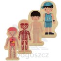 Puzzle drewniane warstwowe budowa ciała montessori chłopiec