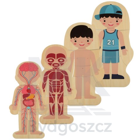 Puzzle drewniane warstwowe budowa ciała montessori chłopiec Puzzle drewniane warstwowe budowa ciała montessori chłopiec