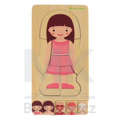 Puzzle drewniane warstwowe budowa ciała montessori dziewczynka Puzzle drewniane warstwowe budowa ciała montessori dziewczynka