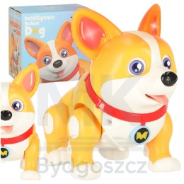 Pies piesek interaktywny robot Corgi świecące uszy muzyka