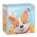 Pies piesek interaktywny robot Corgi świecące uszy muzyka