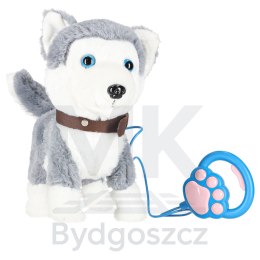 Piesek interaktywny na smyczy szczeka chodzi rusza ogonem Husky