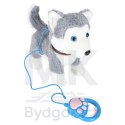 Piesek interaktywny na smyczy szczeka chodzi rusza ogonem Husky