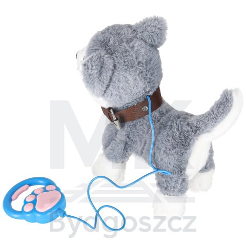 Piesek interaktywny na smyczy szczeka chodzi rusza ogonem Husky Piesek interaktywny na smyczy szczeka chodzi rusza ogonem Husky