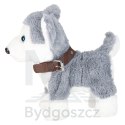 Piesek interaktywny na smyczy szczeka chodzi rusza ogonem Husky