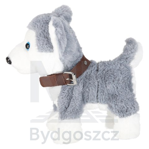 Piesek interaktywny na smyczy szczeka chodzi rusza ogonem Husky Piesek interaktywny na smyczy szczeka chodzi rusza ogonem Husky