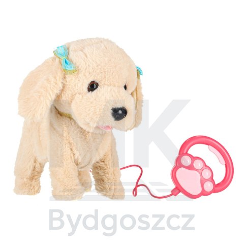 Piesek interaktywny na smyczy szczeka chodzi rusza ogonem Pudel Piesek interaktywny na smyczy szczeka chodzi rusza ogonem Pudel