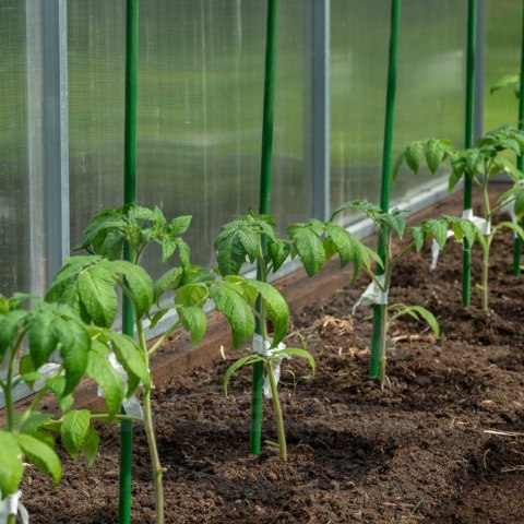 Tyczka palik podpora na pomidory ogórki kwiaty rośliny powlekane tyczki 120 cm 10 szt