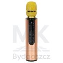 Mikrofon bezprzewodowy karaoke dla dzieci głośnik Bluetooth 2000mAh karta SD USB wysoka jakość złoty