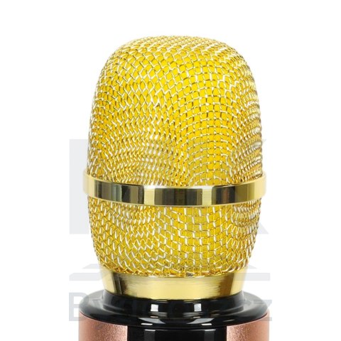 Mikrofon bezprzewodowy karaoke dla dzieci głośnik Bluetooth 2000mAh karta SD USB wysoka jakość złoty Mikrofon bezprzewodowy karaoke dla dzieci głośnik Bluetooth 2000mAh karta SD USB wysoka jakość złoty