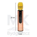 Mikrofon bezprzewodowy karaoke dla dzieci głośnik Bluetooth 2000mAh karta SD USB wysoka jakość złoty
