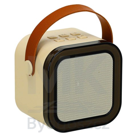 Zestaw do karaoke głośnik Bluetooth mikrofon USB LED beżowy Zestaw do karaoke głośnik Bluetooth mikrofon USB LED beżowy
