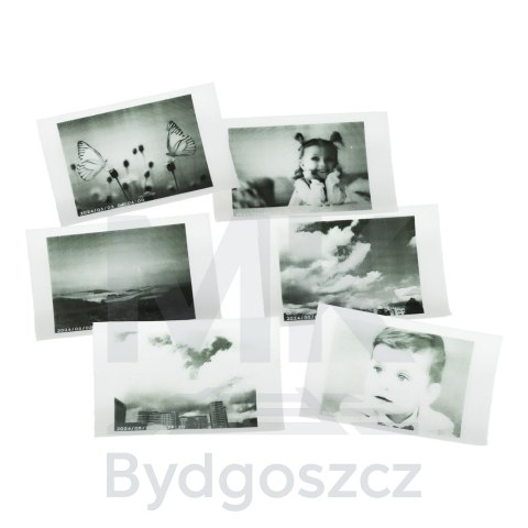 Aparat fotograficzny natychmiastowy drukarka termiczna + wkłady karta 32GB panda Aparat fotograficzny natychmiastowy drukarka termiczna + wkłady karta 32GB panda