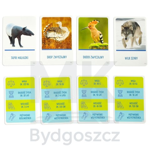 Gra edukacyjna Na tropie gra dla ciekawskich 8+ MULTIGRA Alexander Gra edukacyjna Na tropie gra dla ciekawskich 8+ MULTIGRA Alexander