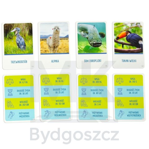 Gra edukacyjna Na tropie gra dla ciekawskich 8+ MULTIGRA Alexander Gra edukacyjna Na tropie gra dla ciekawskich 8+ MULTIGRA Alexander