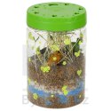 Hodowla dinozaurów terrarium projektor z lampką nocną LED