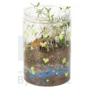 Hodowla dinozaurów terrarium projektor z lampką nocną LED