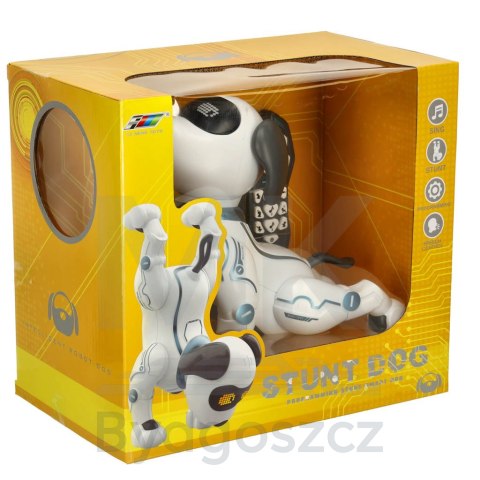 Pies piesek interaktywny zdalnie sterowany na pilota RC robot skacze śpiewa Pies piesek interaktywny zdalnie sterowany na pilota RC robot skacze śpiewa