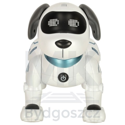 Pies piesek interaktywny zdalnie sterowany na pilota RC robot skacze śpiewa Pies piesek interaktywny zdalnie sterowany na pilota RC robot skacze śpiewa