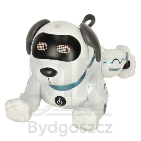 Pies piesek interaktywny zdalnie sterowany na pilota RC robot skacze śpiewa Pies piesek interaktywny zdalnie sterowany na pilota RC robot skacze śpiewa
