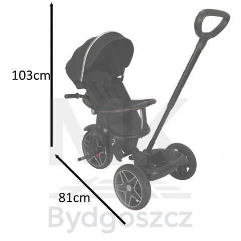 Rowerek trójkołowy TRIKE FIX Elite 2w1 rower spacerówka 6w1 czarny Rowerek trójkołowy TRIKE FIX Elite 2w1 rower spacerówka 6w1 czarny